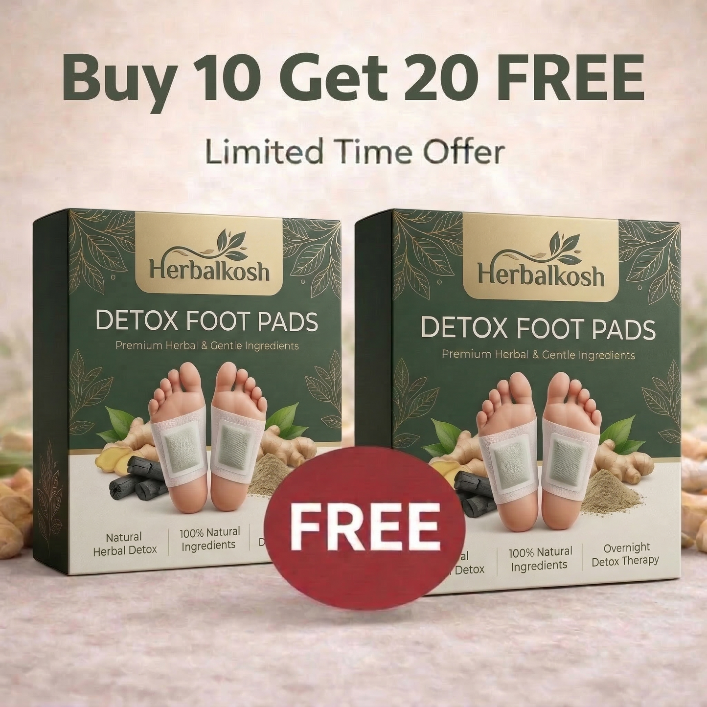 Herbal Detox Foot Patches (HK) (BUY 10 GET 20 FREE )